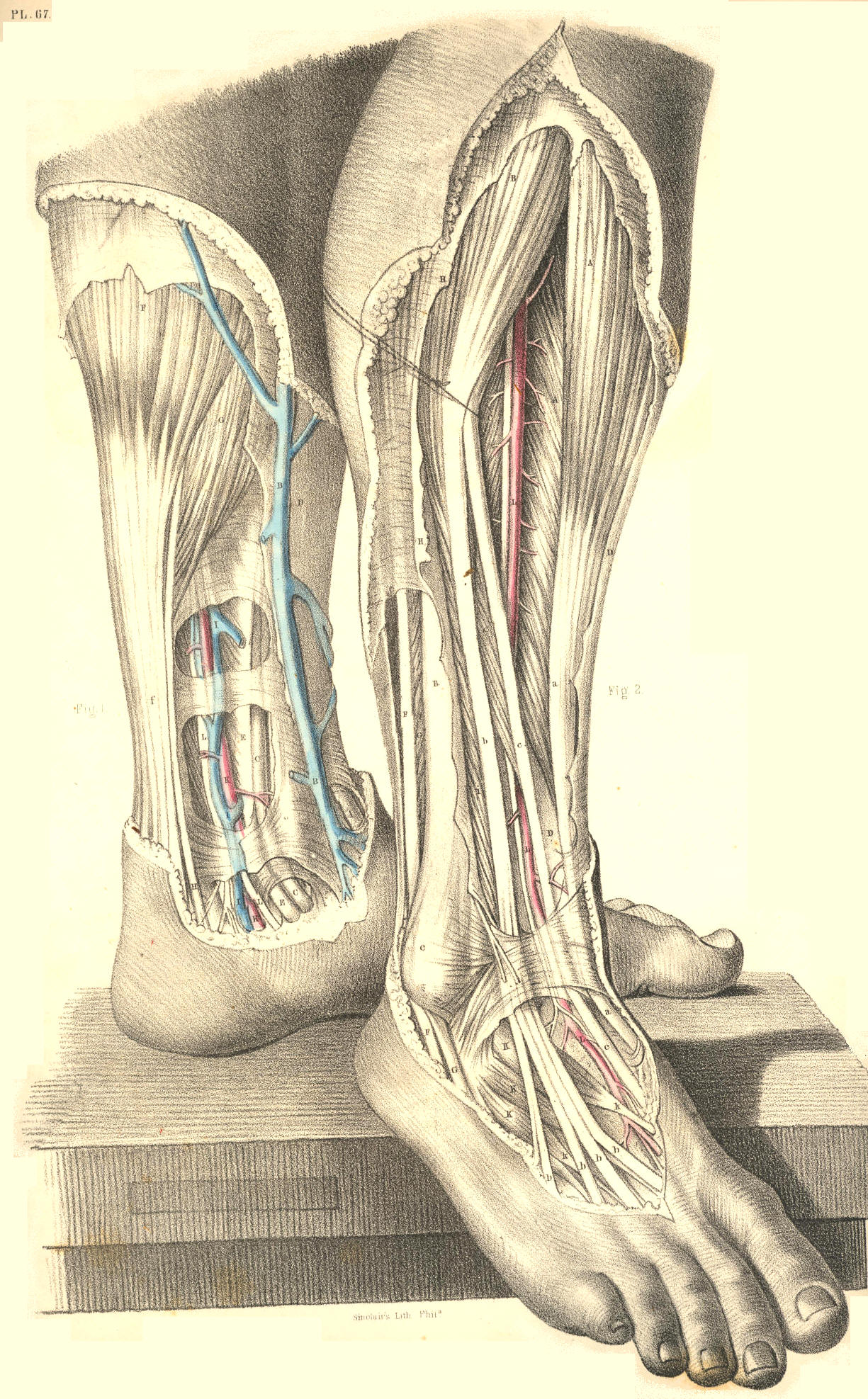 Illustration: