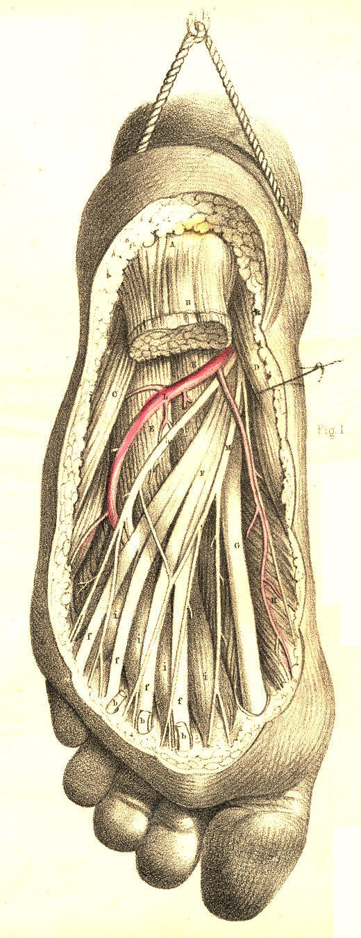 Illustration: