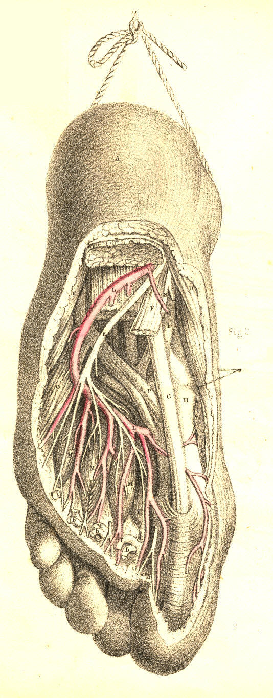 Illustration:
