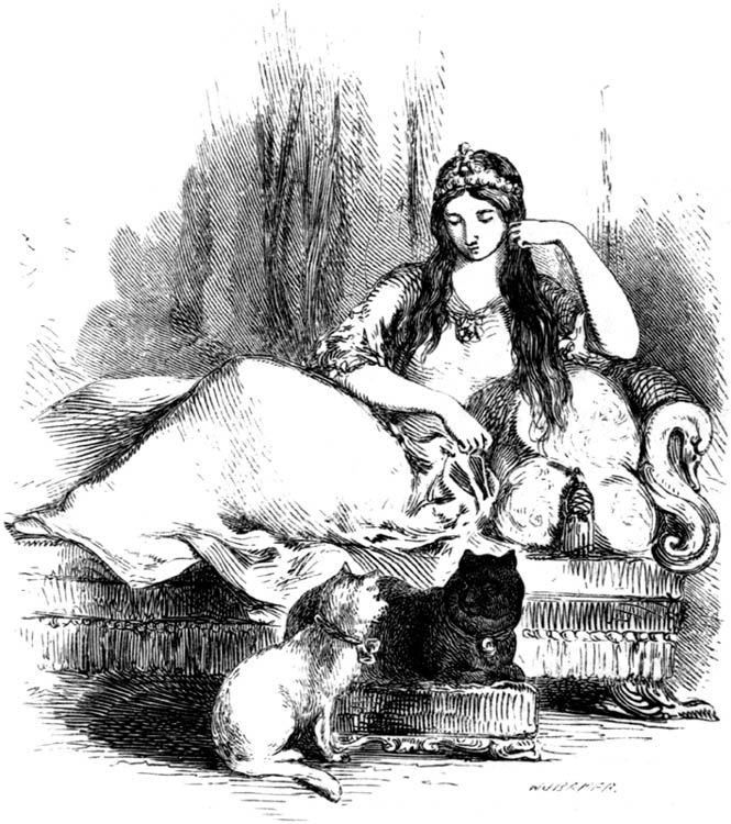 End of Chapter image, facing page 53
