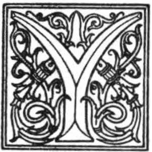 Y