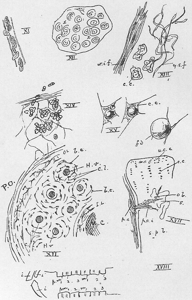 Sheet 4