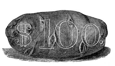 title page decoration