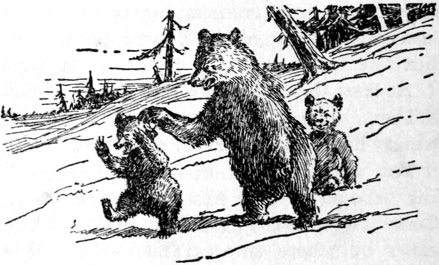 [Bears]