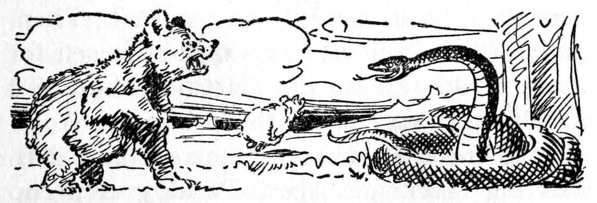 [Bear & snake]
