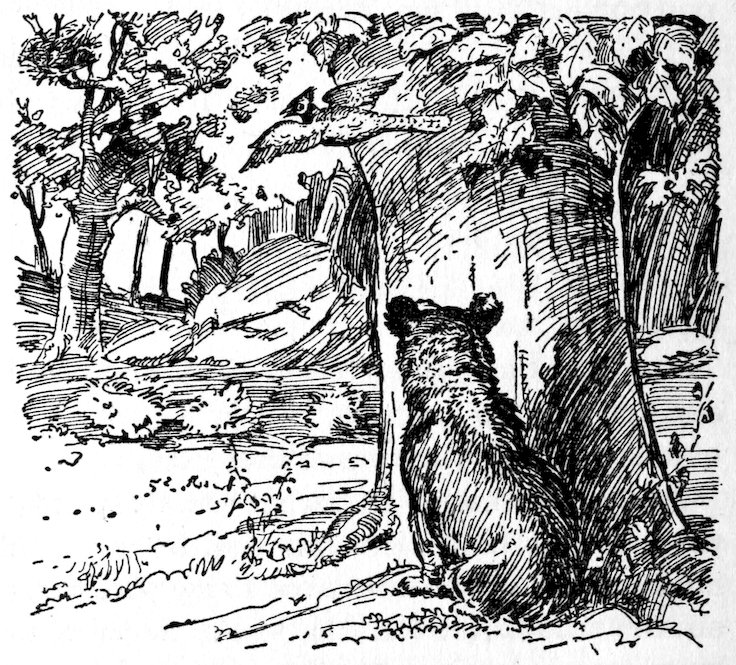 [Bear]