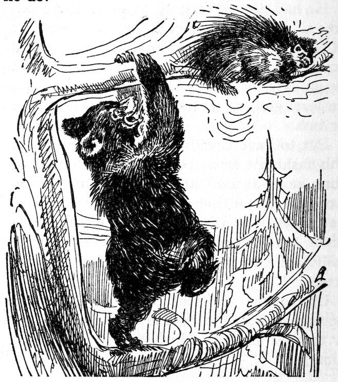 [Bear & porcupine]