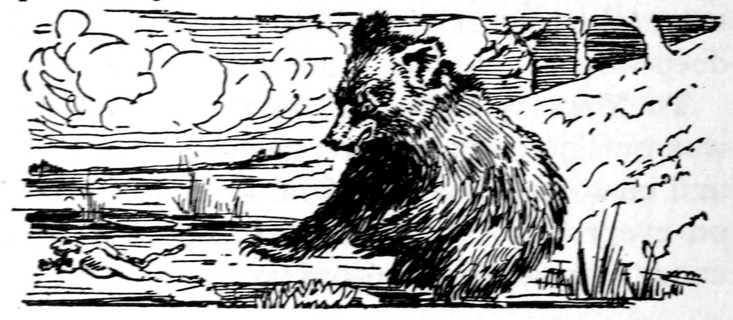 [Bear]