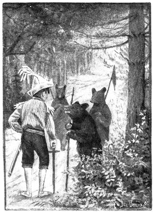 Bears in wood
