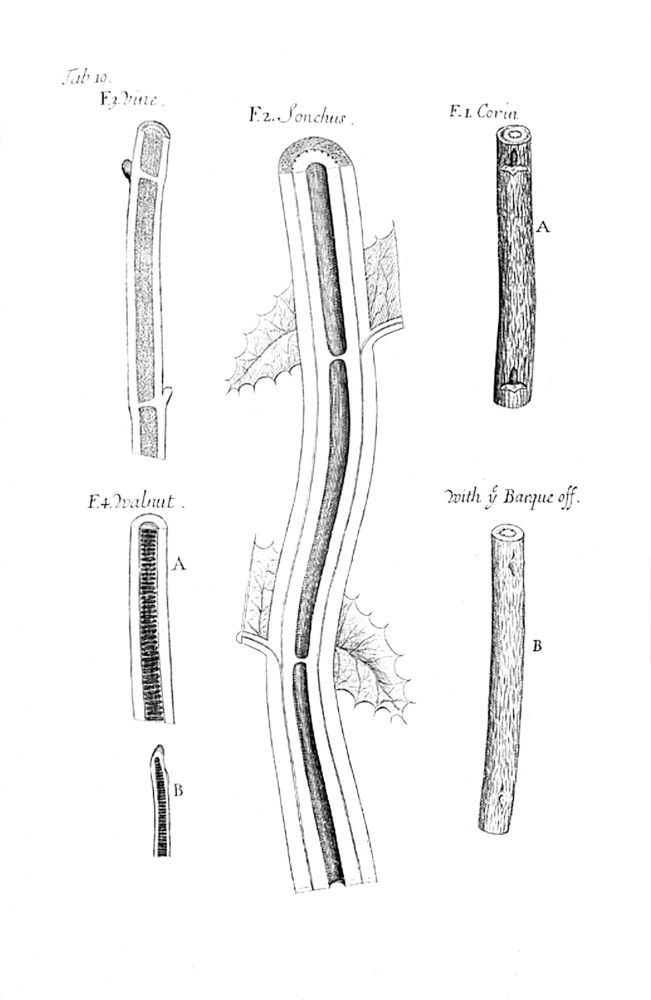 Tab 19