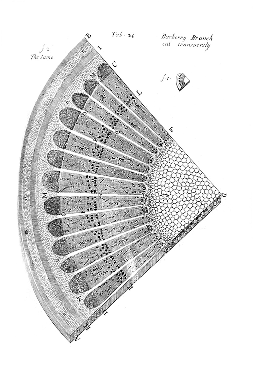 Tab 24