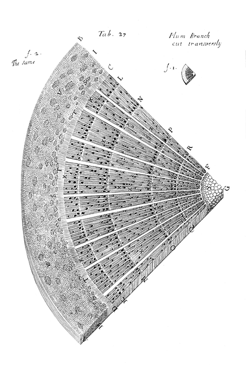 Tab 27