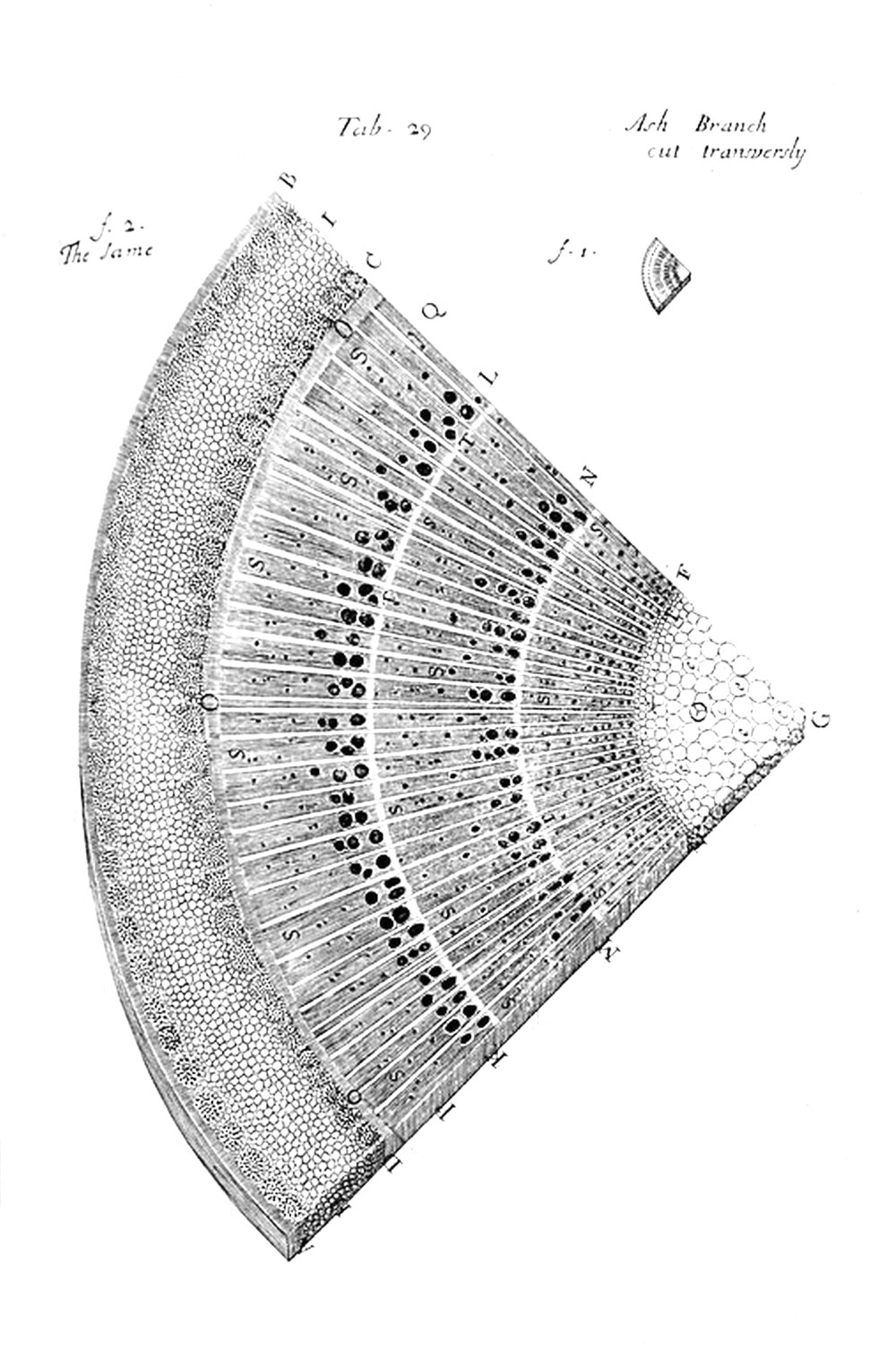 Tab 29
