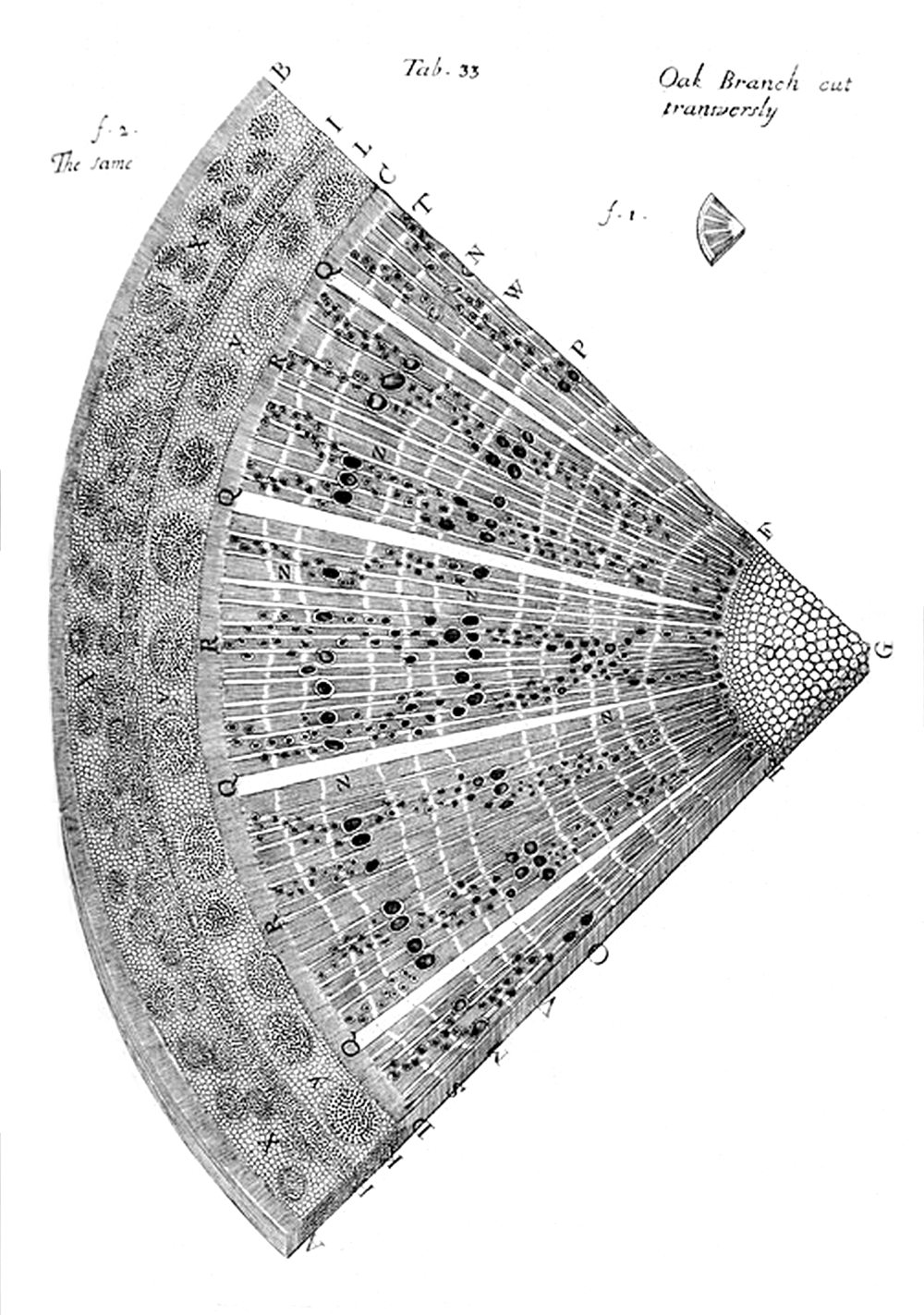 Tab 33