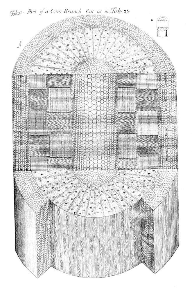Tab 37