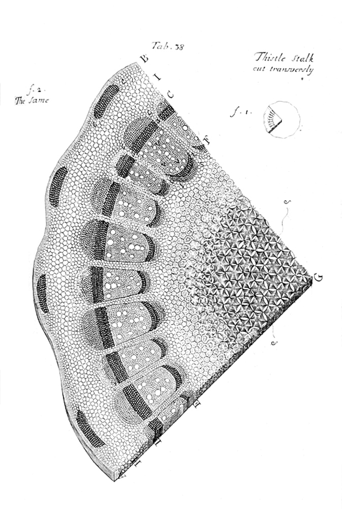 Tab 38