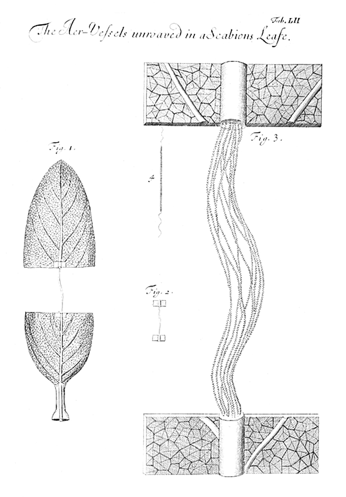 Tab 52