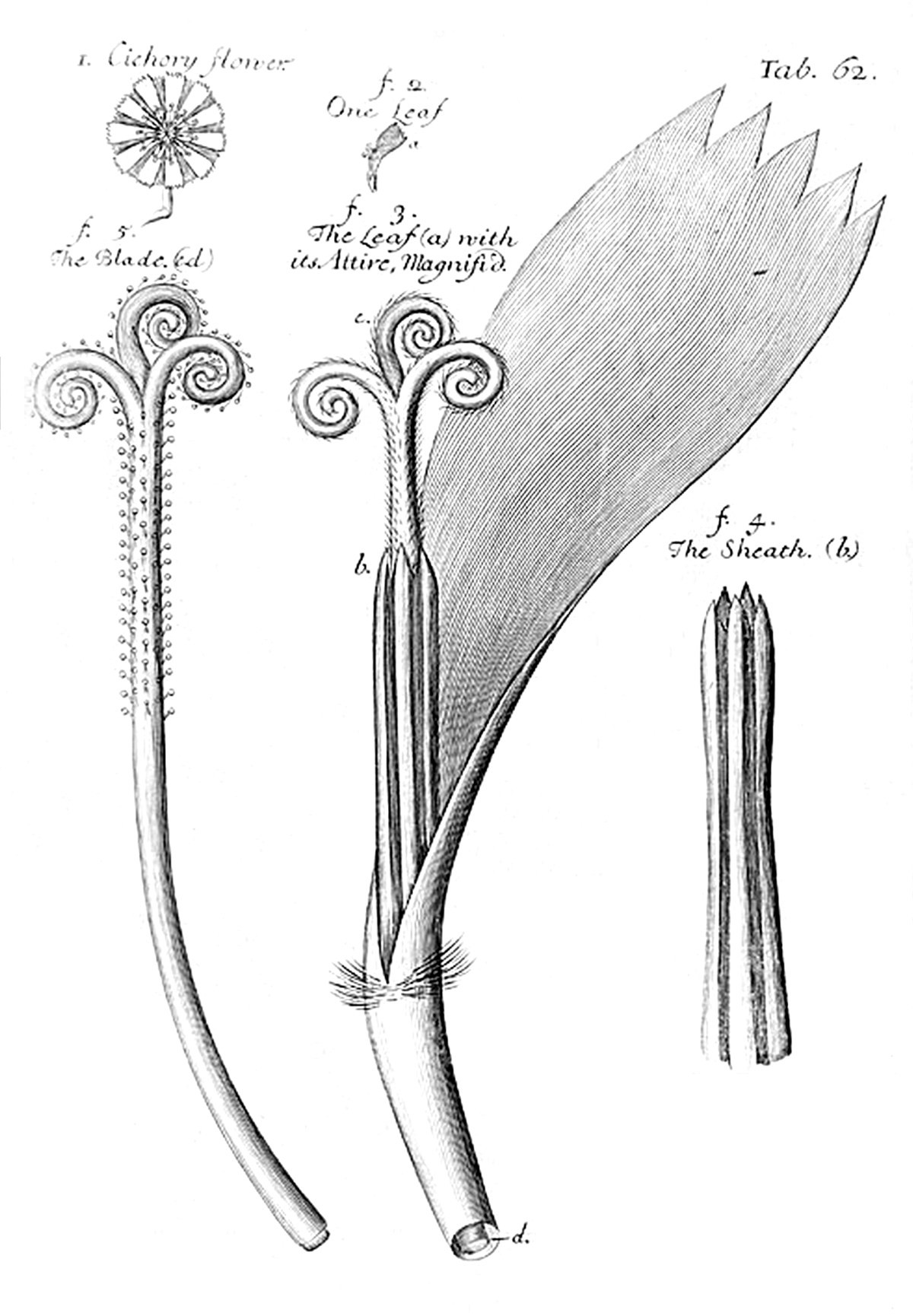 Tab 62