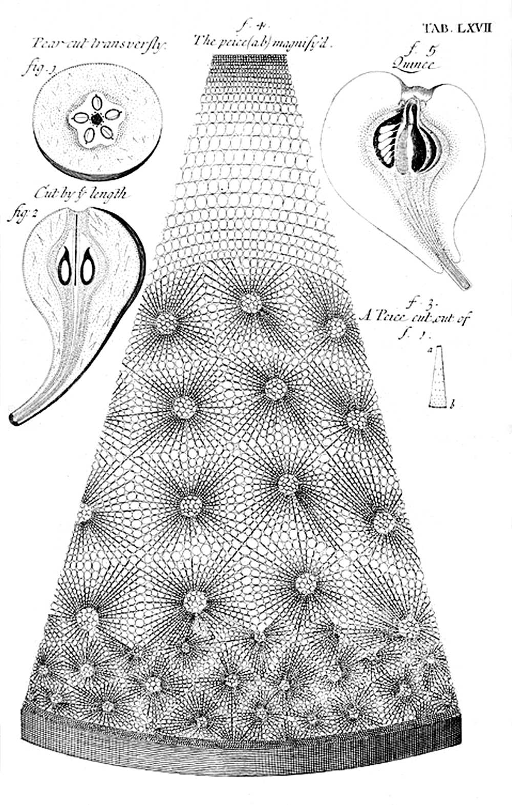 Tab 67