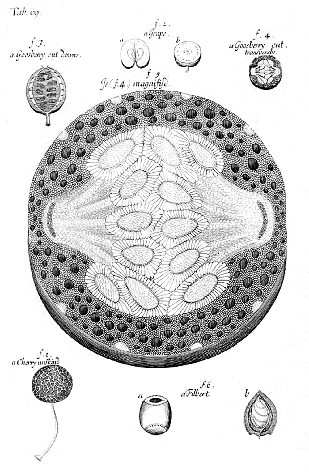 Tab 69