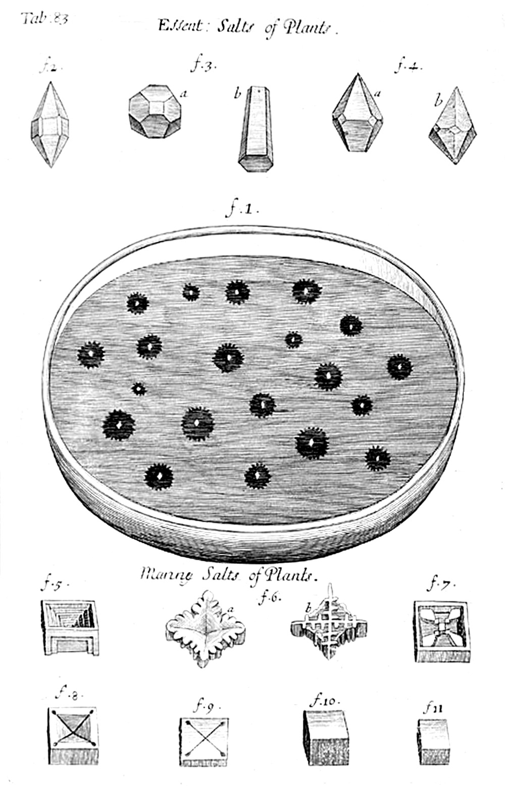 Tab 83