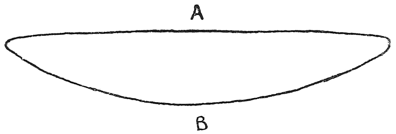 Fig. 11. Section across the blade of a North Andaman bow