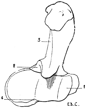 Fig. 27