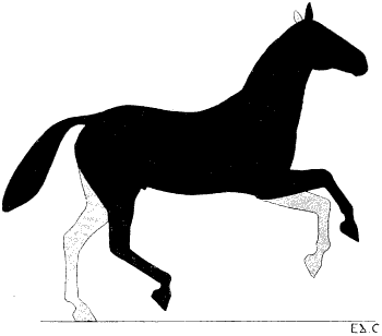 Fig. 131