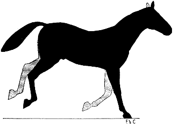 Fig. 133