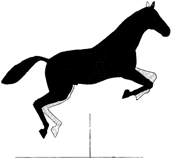 Fig. 140