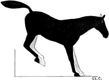 Fig. 142
