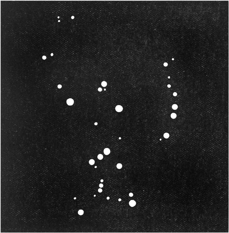 The Stars of Orion.