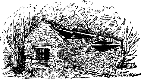 RUINS OF A CELLAR, BELVIDERE.