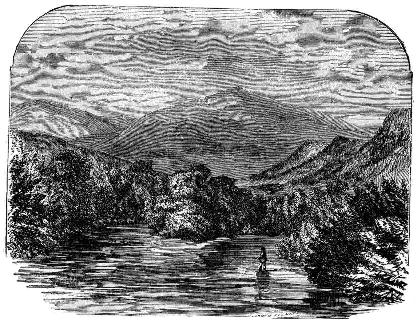 MOUNT MADISON, IN GORHAM.
