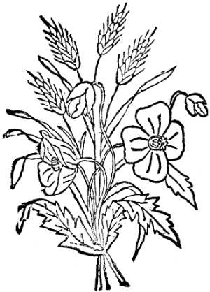 (Flower)