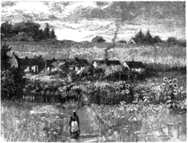 NEGRO CABINS.