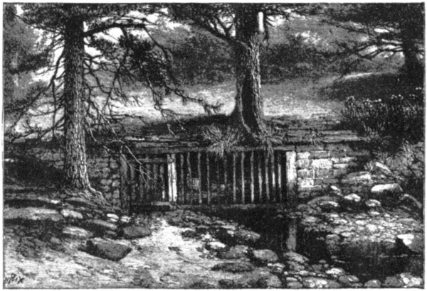 A SPRING-HOUSE.