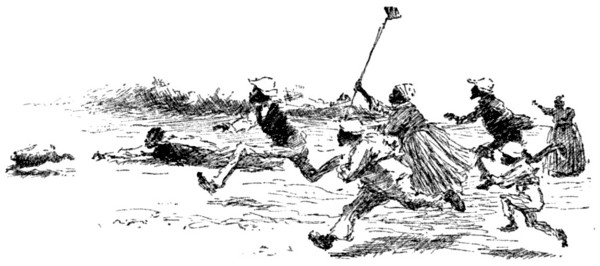 CHASING THE RABBIT.