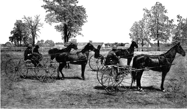 HARNESS HORSES.