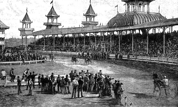 THE RACE-COURSE—THE FINISH.