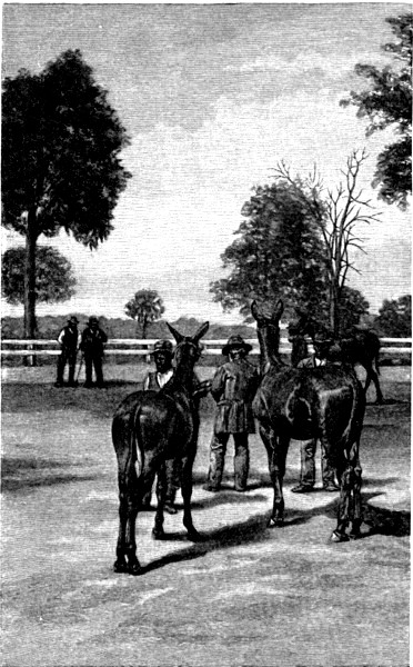 MULES.