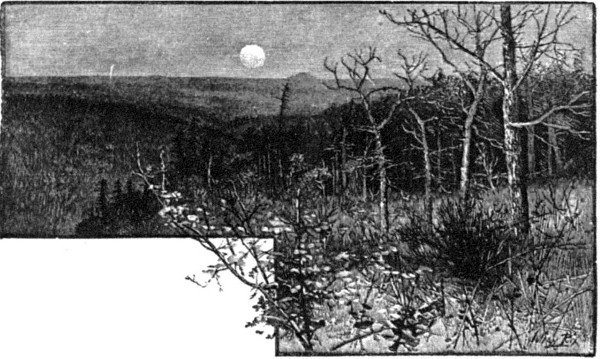 MOONRISE ON CUMBERLAND RIDGE.