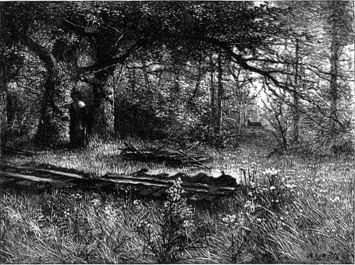 A FAMILY BURYING-GROUND.