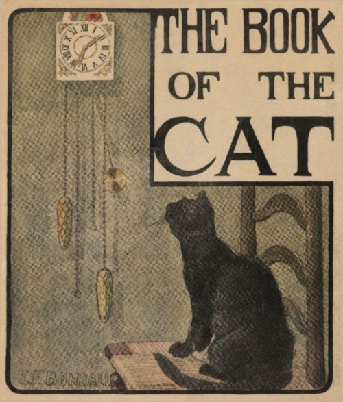 Cover of the book Cat seated on chair looking up at clock