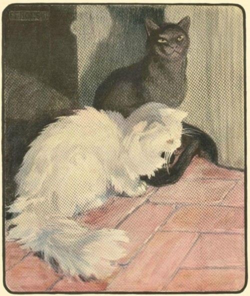 Ebony and Snowball Ebony and Snowball