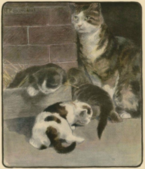 Kittens will be Kittens Kittens will be Kittens