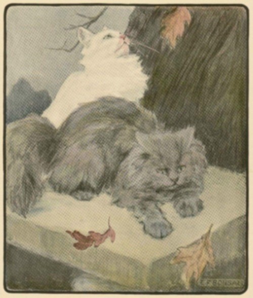 An Autumn Frolic An Autumn Frolic
