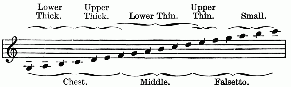 Lower Thick. Upper Thick. Lower Thin. Upper Thin. Small. Chest. Middle. Falsetto.