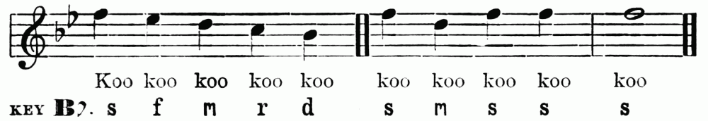 Koo koo koo koo koo koo koo koo koo