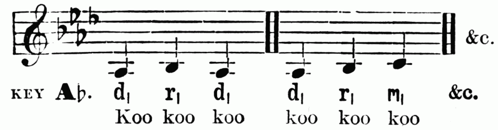 notation